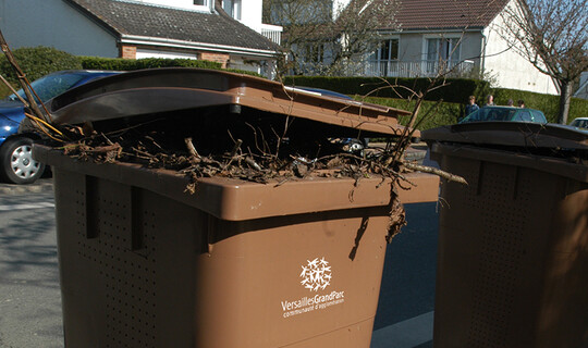 Poubelle déchets vegetaux